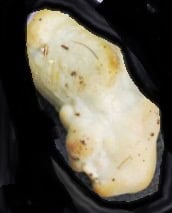 Lash Egg ~ Egg Inside An Egg Topic To Introduce The Lash Egg Another Weird Phenomenon